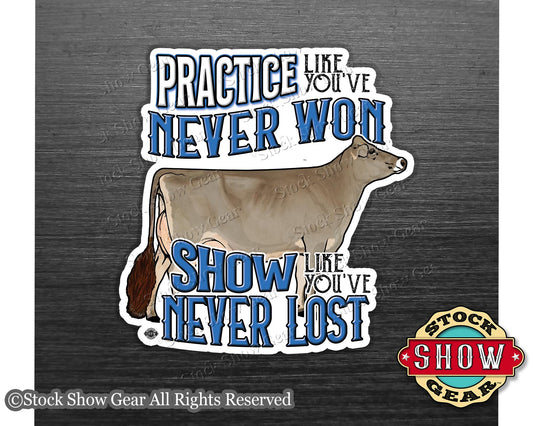 Dairy Show Cow Magnet - Practice Like You've Never Won - 4 inches