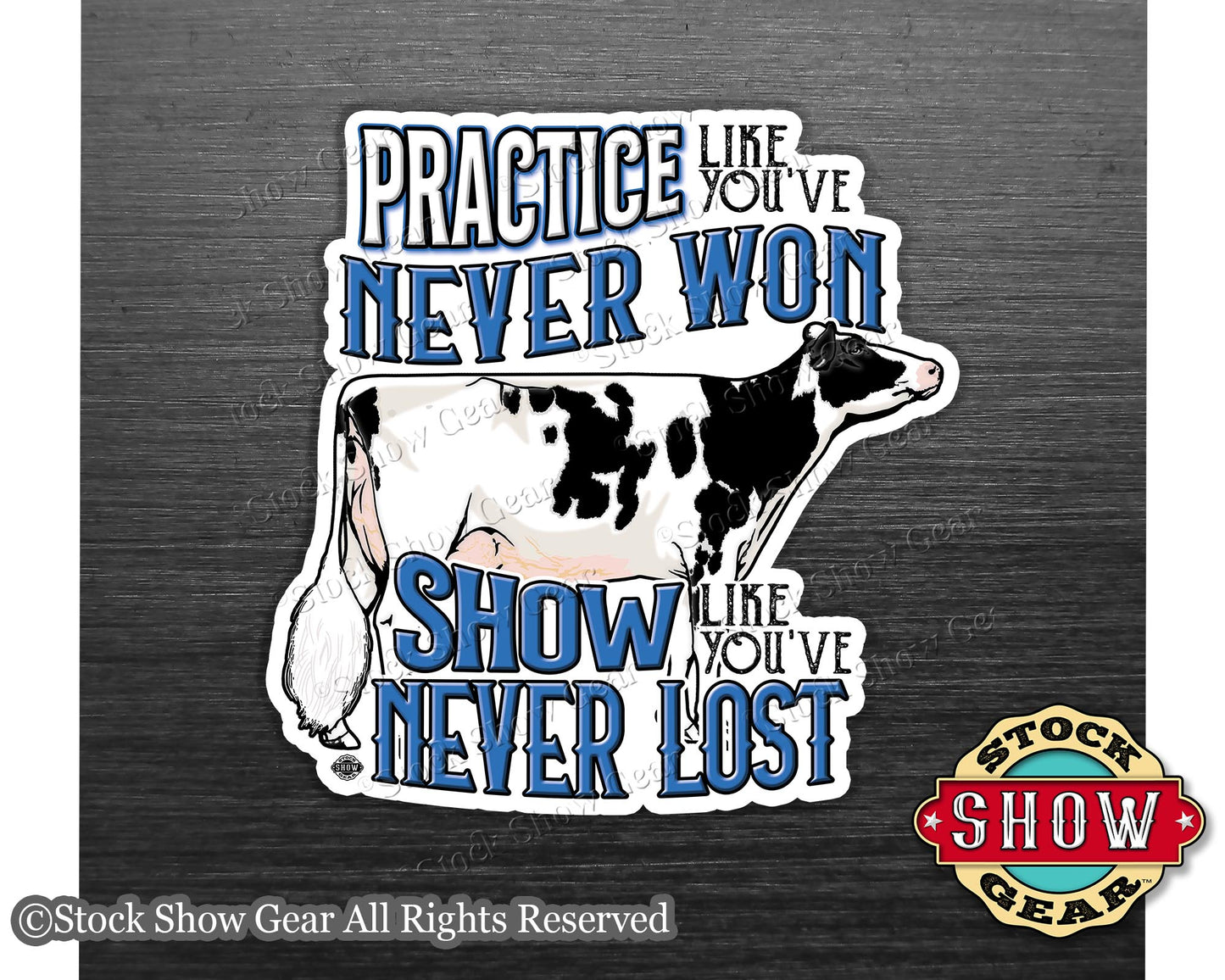 Dairy Show Cow Magnet - Practice Like You've Never Won - 4 inches