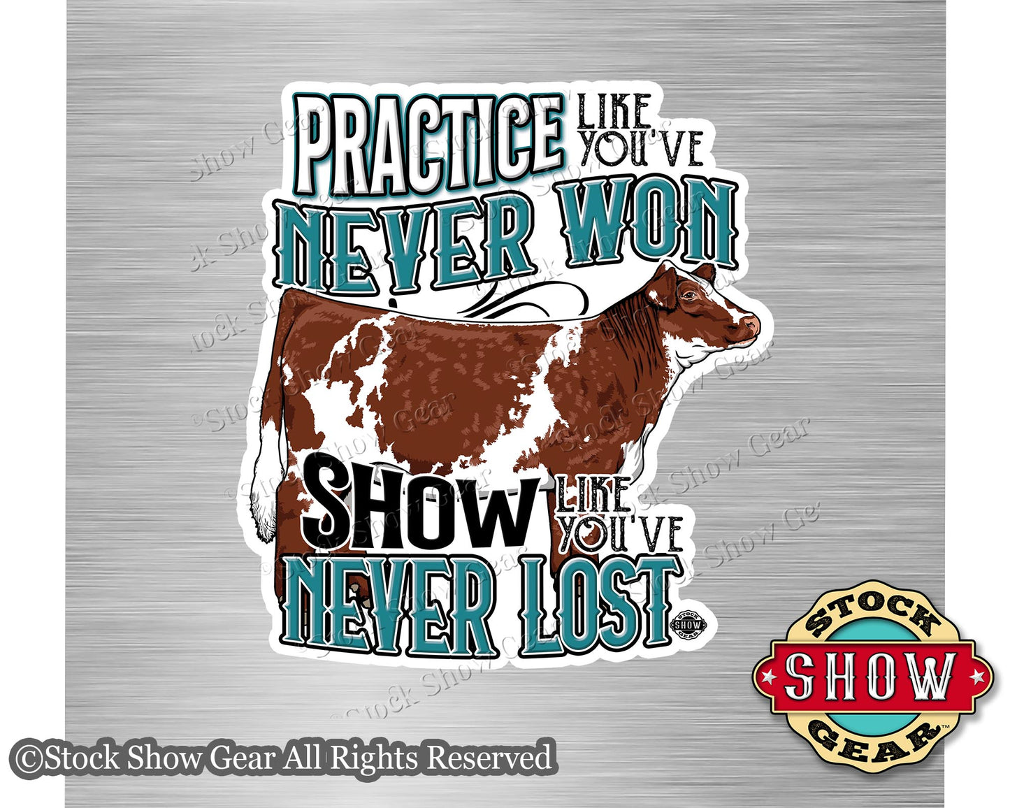 Show Cattle "Practice" Magnets