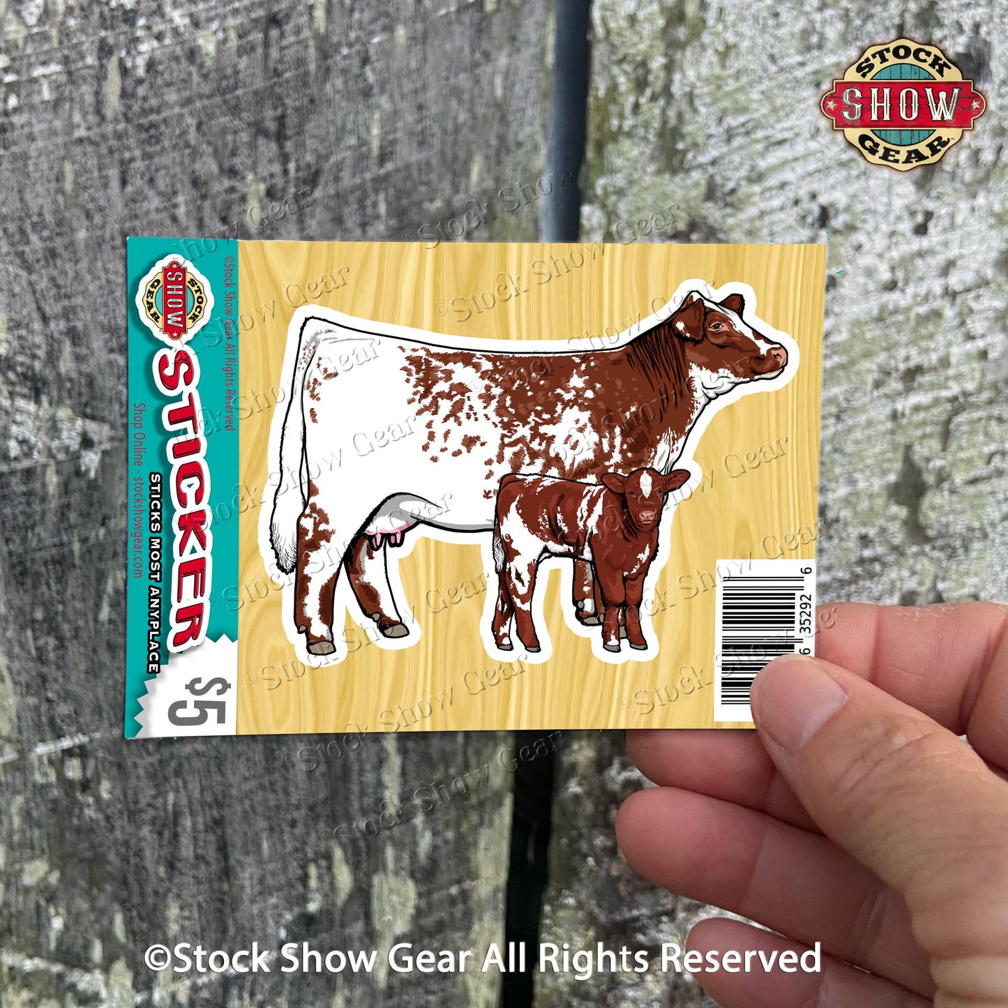 Shorthorn Cattle Stickers - Variety of Designs