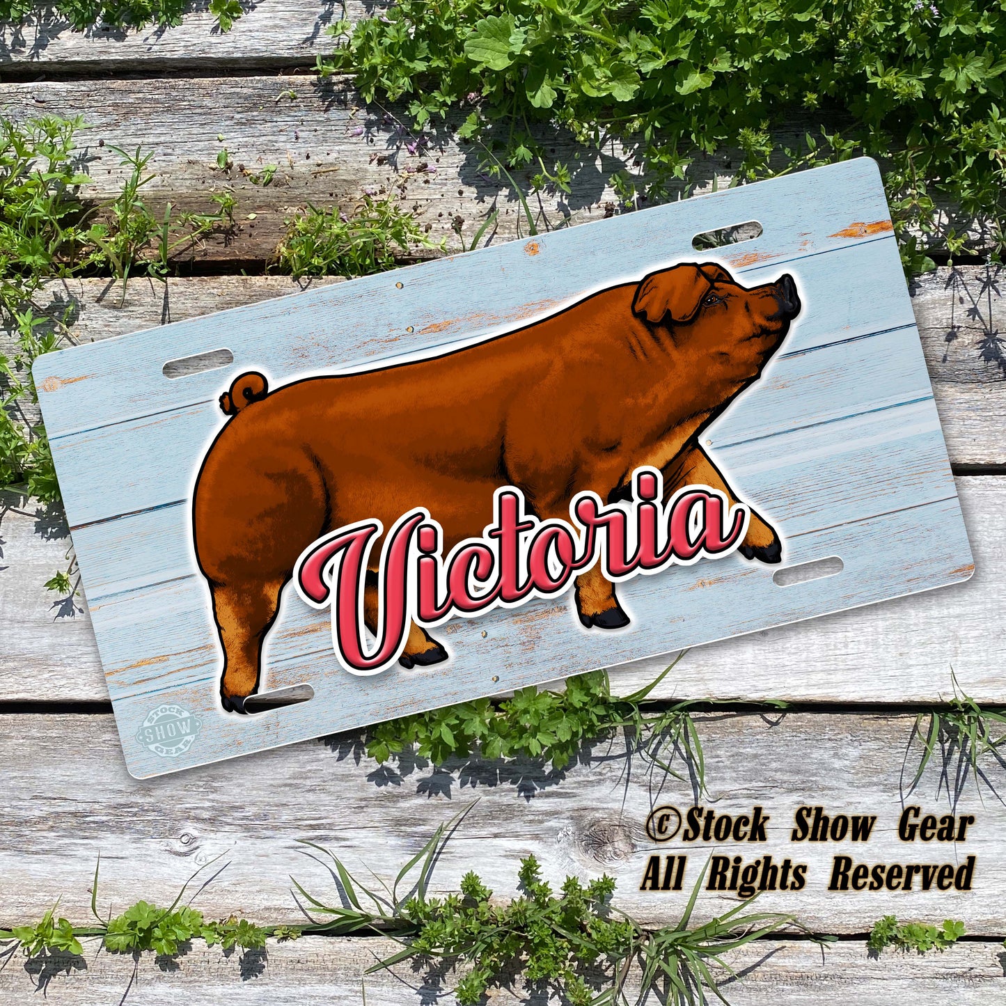Duroc Pig "Soft Blue Wood" License Plate Design