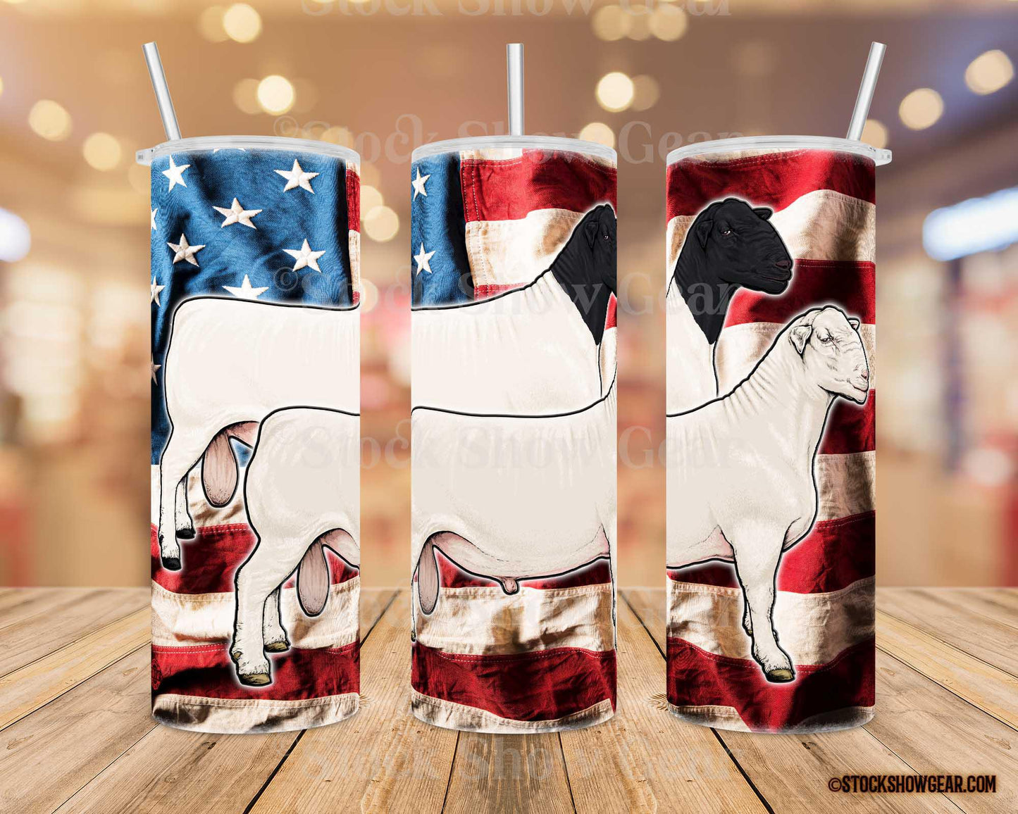 Dorper Rams "Wrinkled USA" Water Canteen