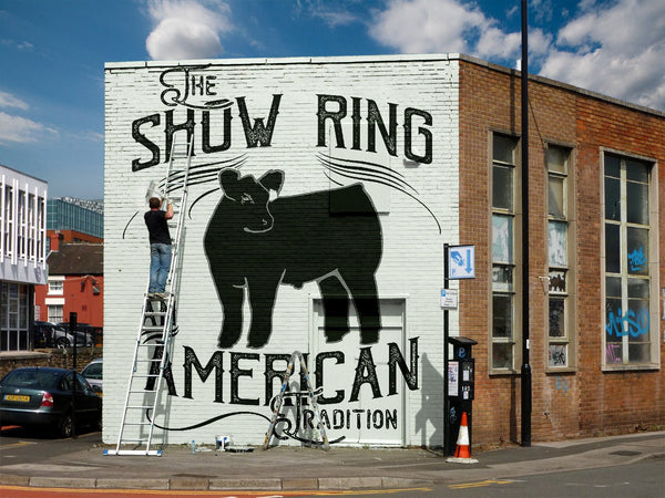 Steer-Original Show Ring-American Tradition Apparel Gen 1