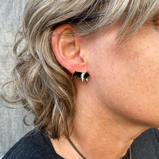 Hampshire pig enamel hypo-allergenic post earrings displayed an ear..