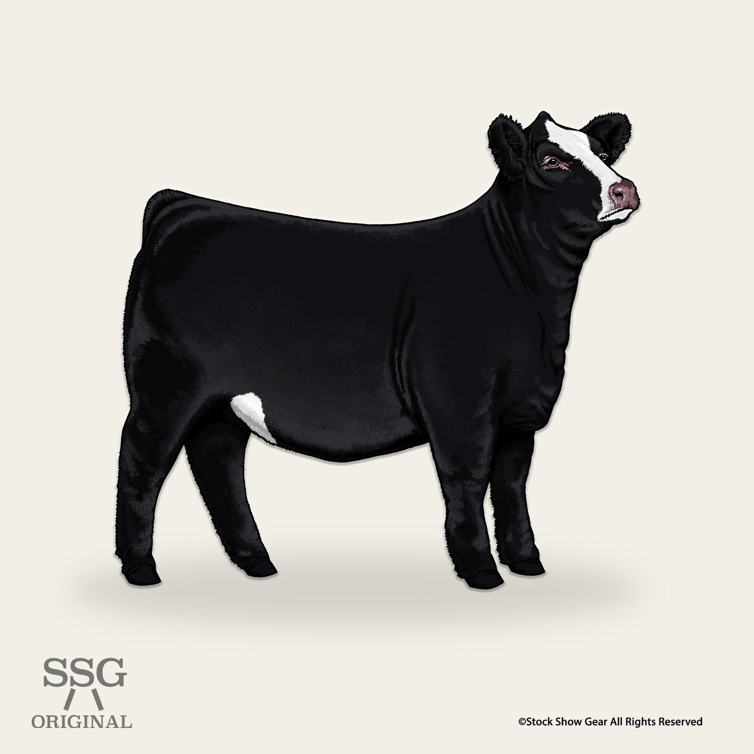 Simmental Collection