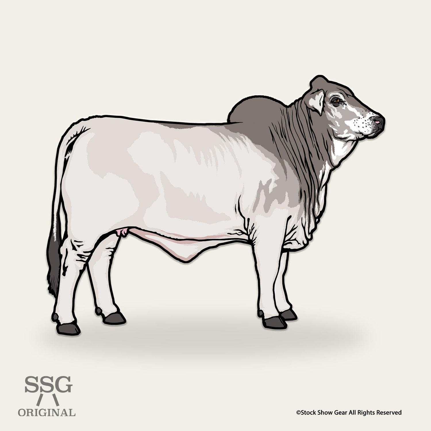Brahman Collection