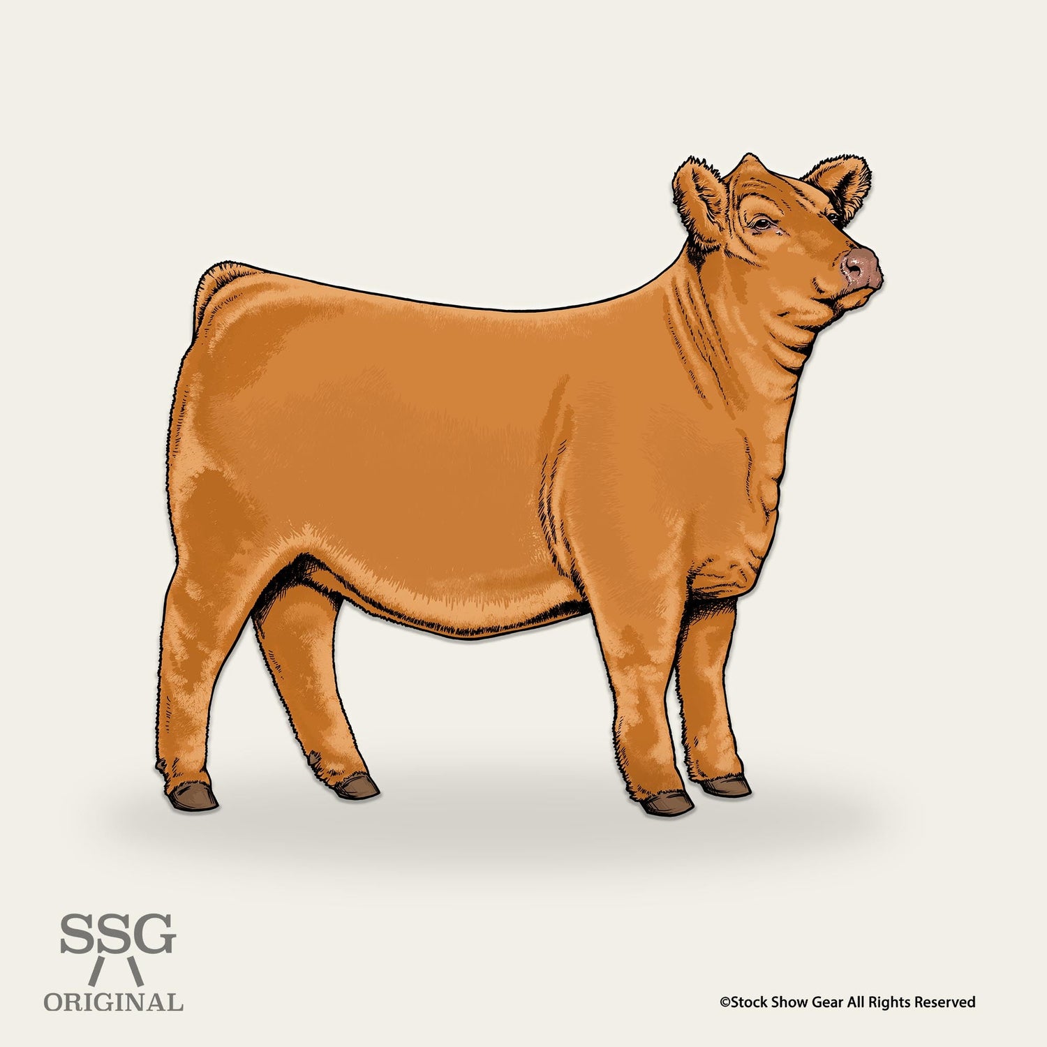 Limousin Collection