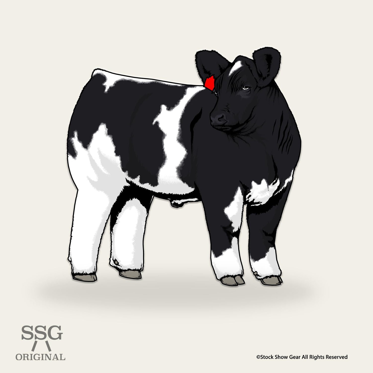 AOB Cattle