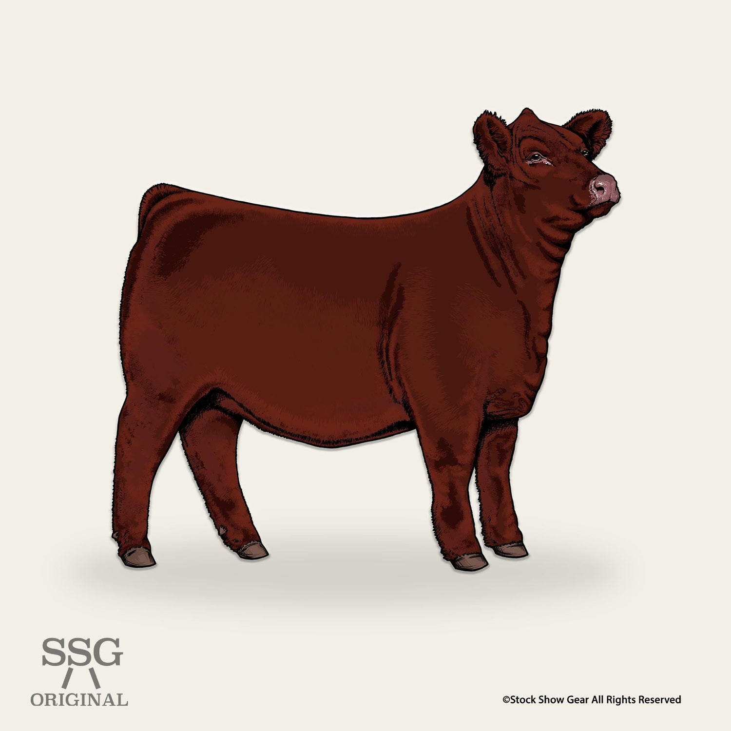 Red Angus Collection