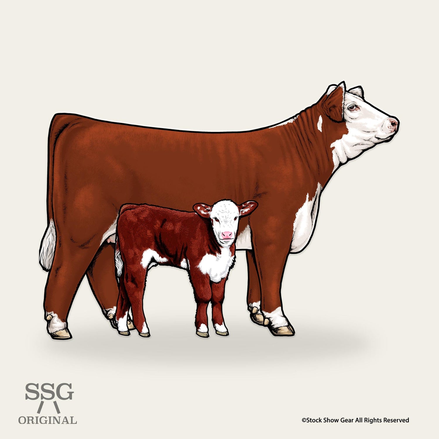 Red Hereford Collection