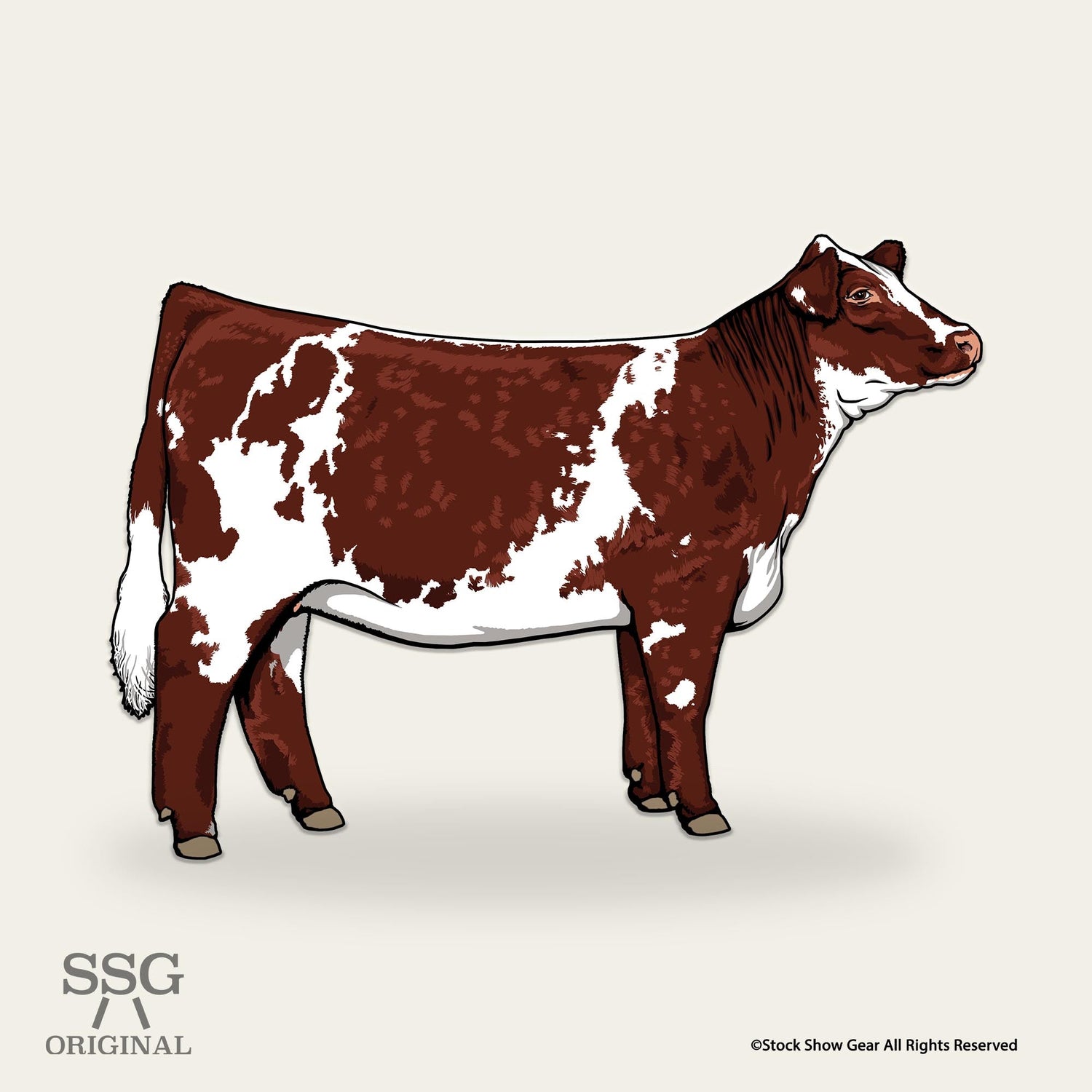 Shorthorn Collection