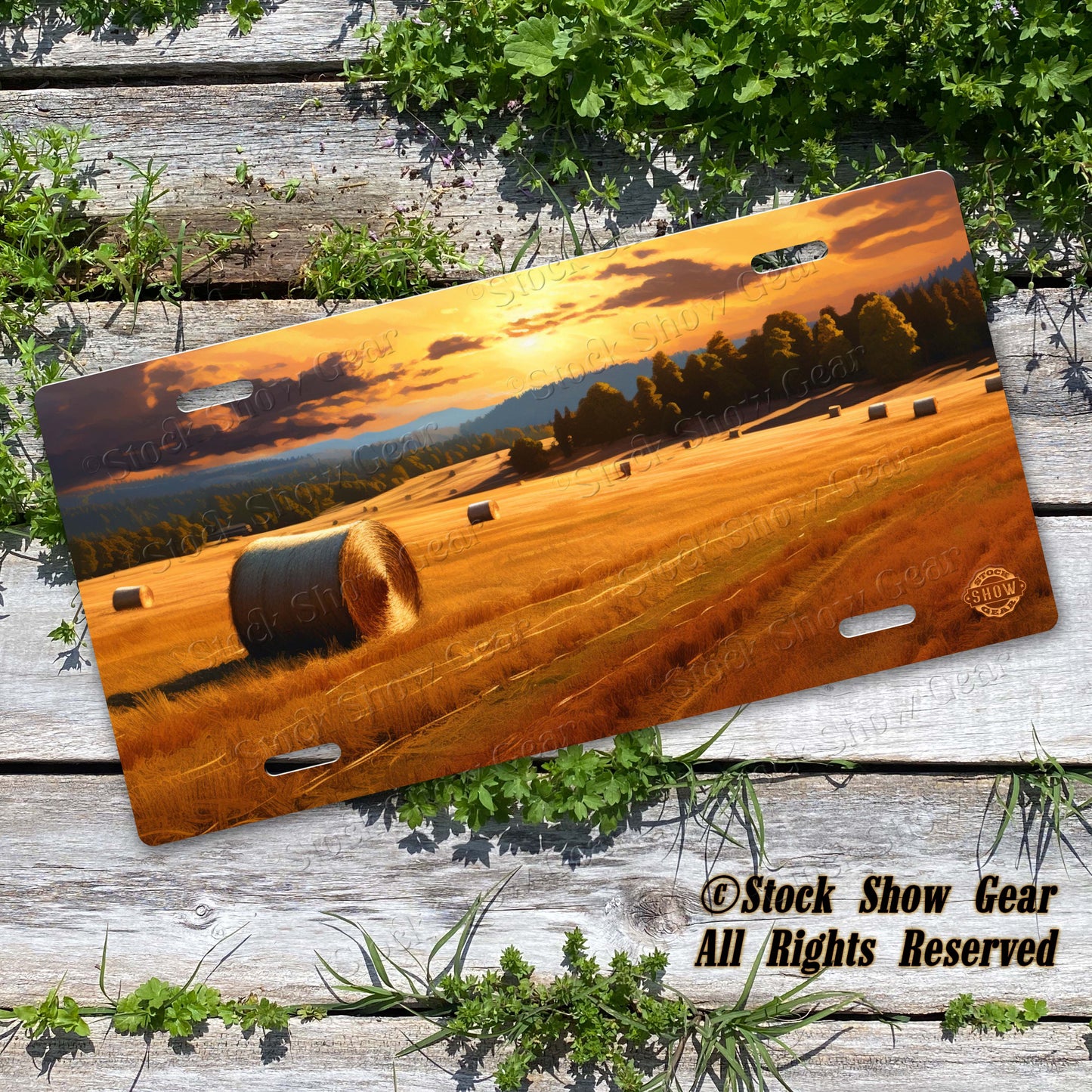 Hay Field License Plate Design