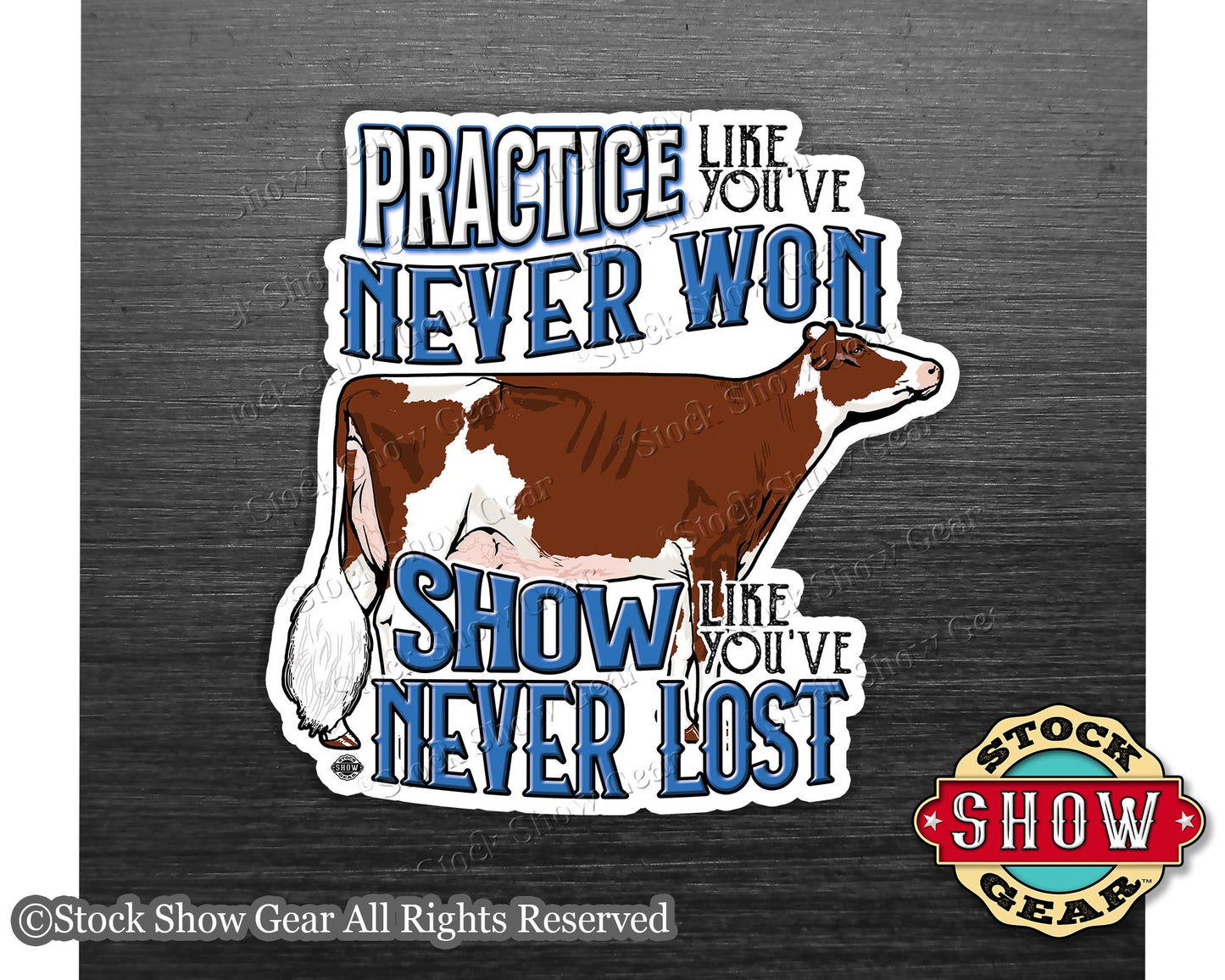 Dairy Show Cow Magnet - Practice Like You've Never Won - 4 inches