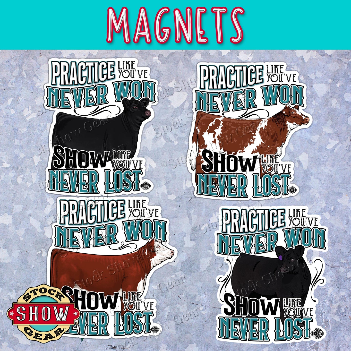 Show Cattle "Practice" Magnets