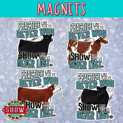 Show Cattle "Practice" Magnets