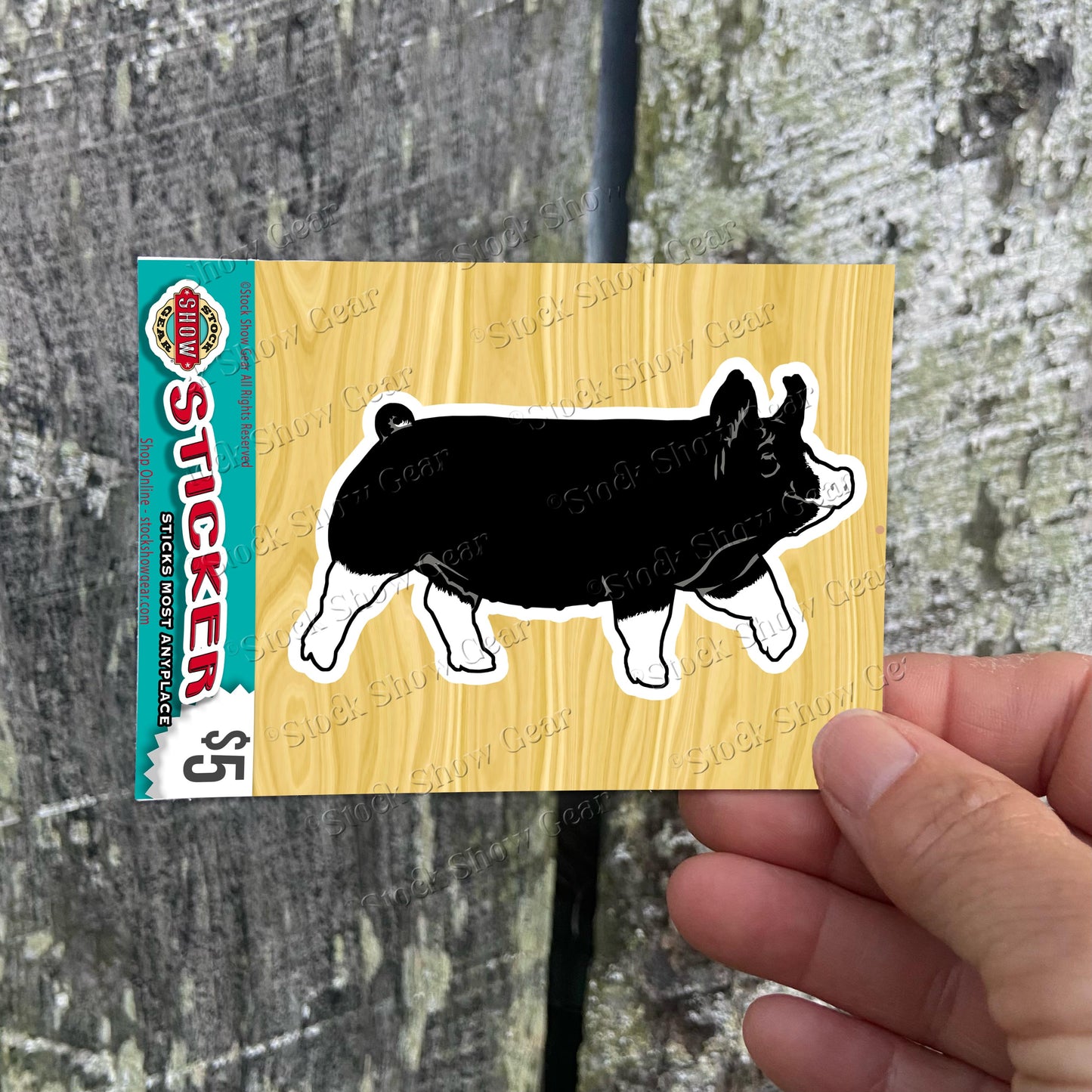 Berkshire Pig Sticker Designs