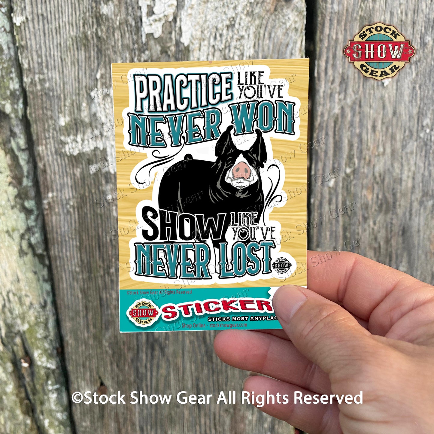 Berkshire Pig Sticker Designs