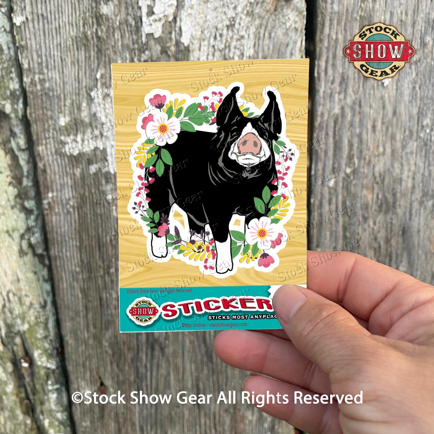 Berkshire Pig Sticker Designs