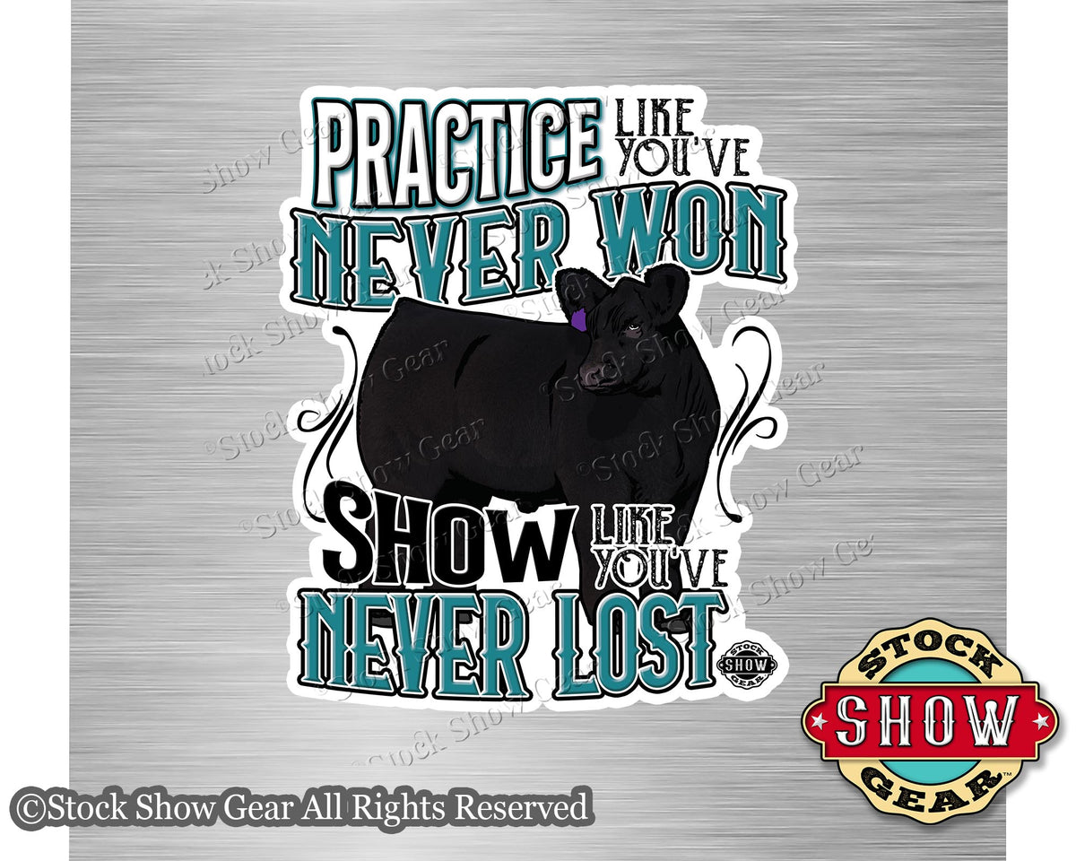 Black Angus Stickers | Stock Show Gear Designs | Ready to Ship