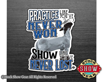 Show Lamb "Practice" Show Box Magnets