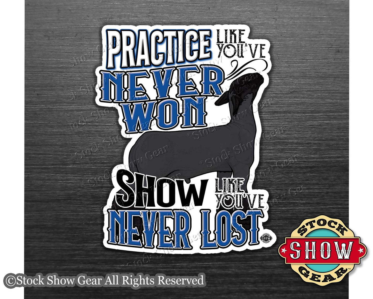 Show Lamb "Practice" Show Box Magnets