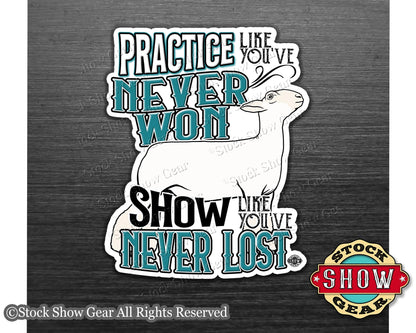 Show Lamb "Practice" Show Box Magnets
