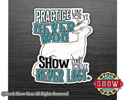 Show Lamb "Practice" Show Box Magnets