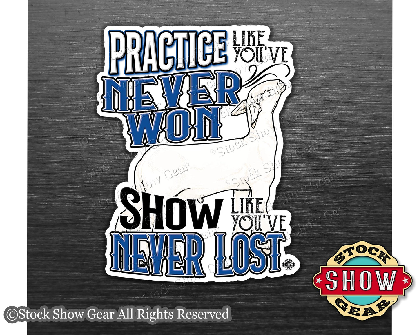 Show Lamb "Practice" Show Box Magnets