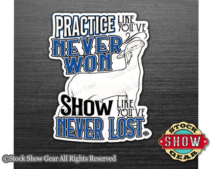 Show Lamb "Practice" Show Box Magnets