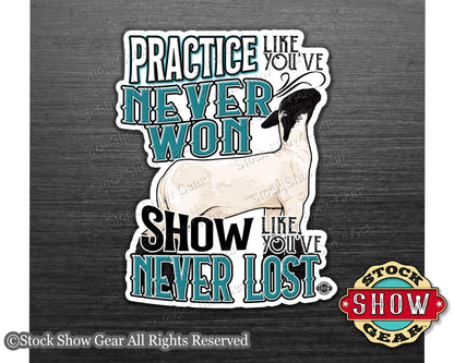 Show Lamb "Practice" Show Box Magnets