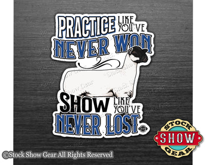 Show Lamb "Practice" Show Box Magnets
