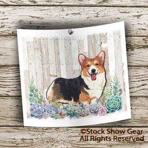 Tri-Corgi "Succulents" Tumbler Design