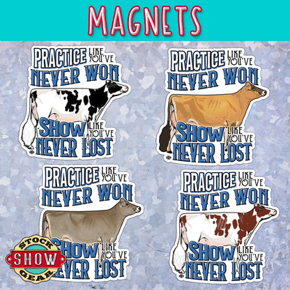 Dairy Show Cow Magnet - Practice Like You've Never Won - 4 inches