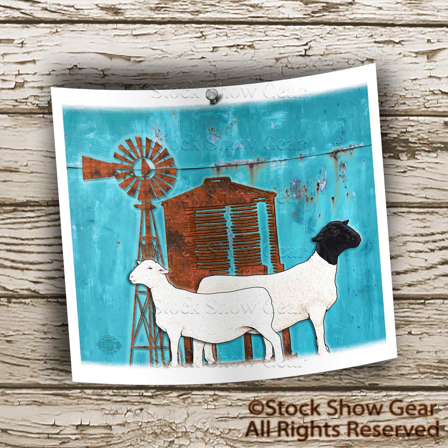 Dorper Sheep "Windmill" Design