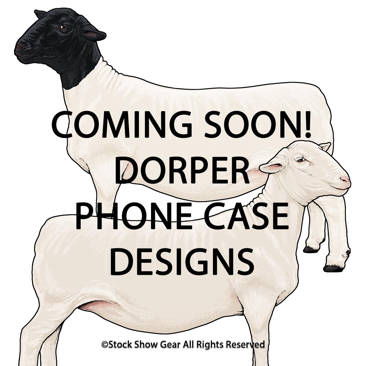 Dorper Sheep Phone Cases - Apple and Samsung - Coming Soon
