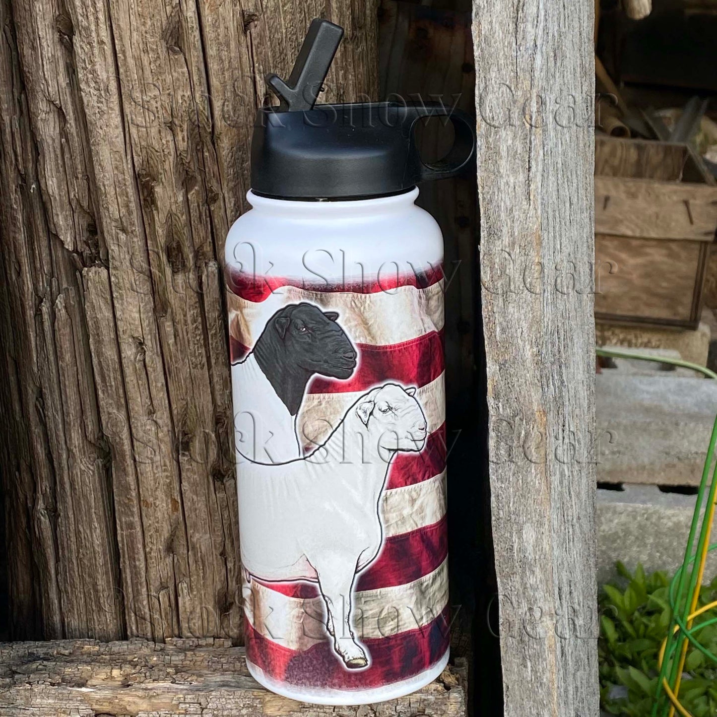 Dorper Rams "Wrinkled USA" Water Canteen