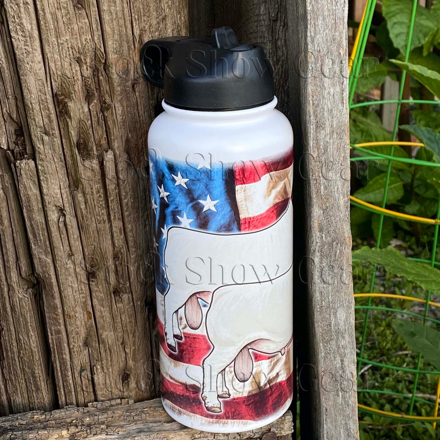 Dorper Rams "Wrinkled USA" Water Canteen