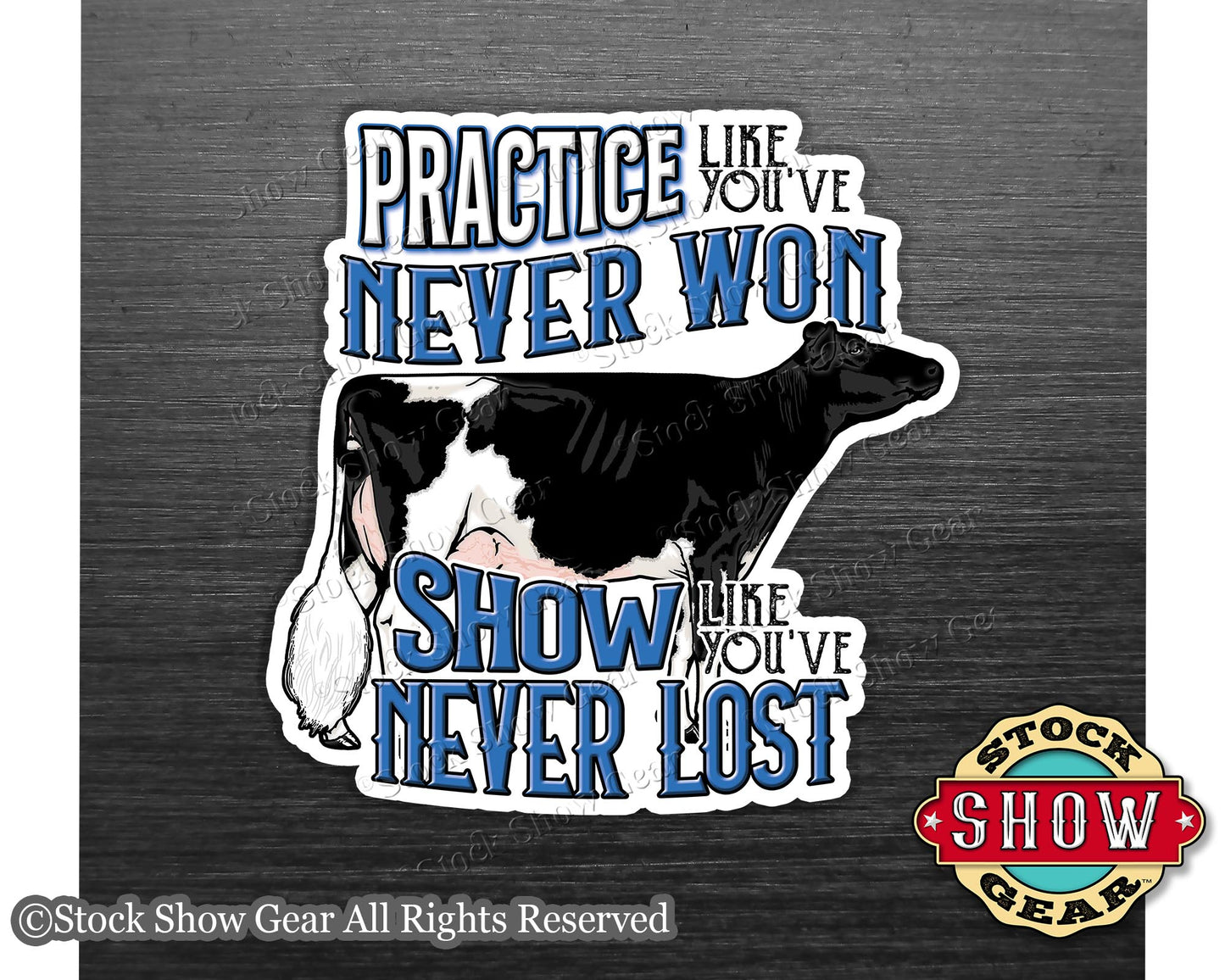 Dairy Show Cow Magnet - Practice Like You've Never Won - 4 inches