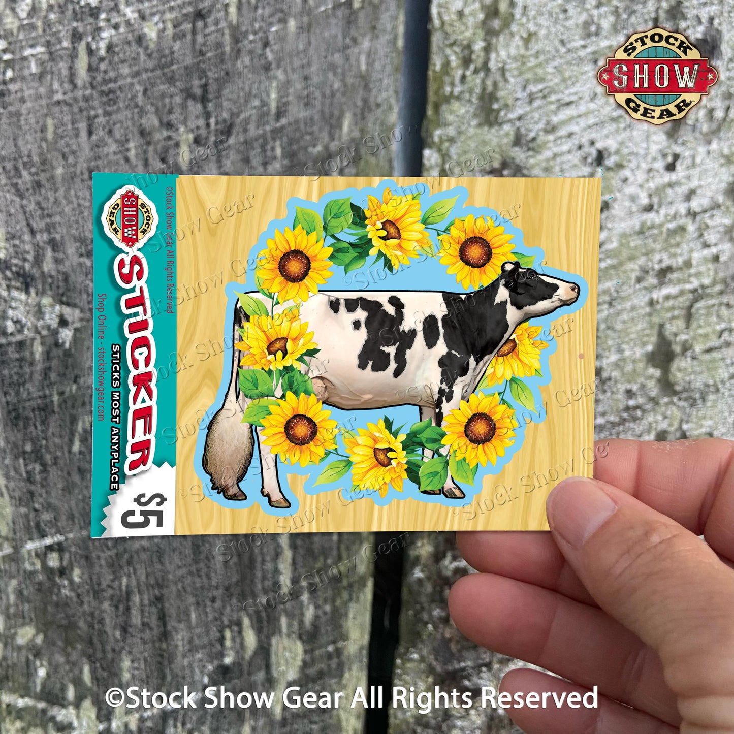 Black and White Holstein Dairy Cow Stickers - Variety Designs