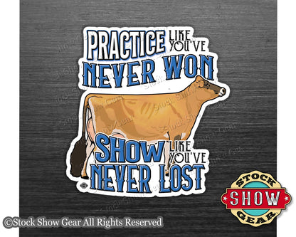 Dairy Show Cow Magnet - Practice Like You've Never Won - 4 inches