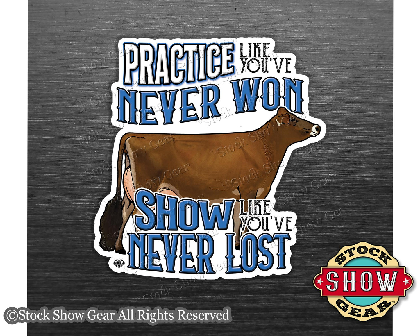 Dairy Show Cow Magnet - Practice Like You've Never Won - 4 inches