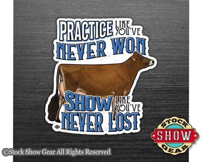 Dairy Show Cow Magnet - Practice Like You've Never Won - 4 inches
