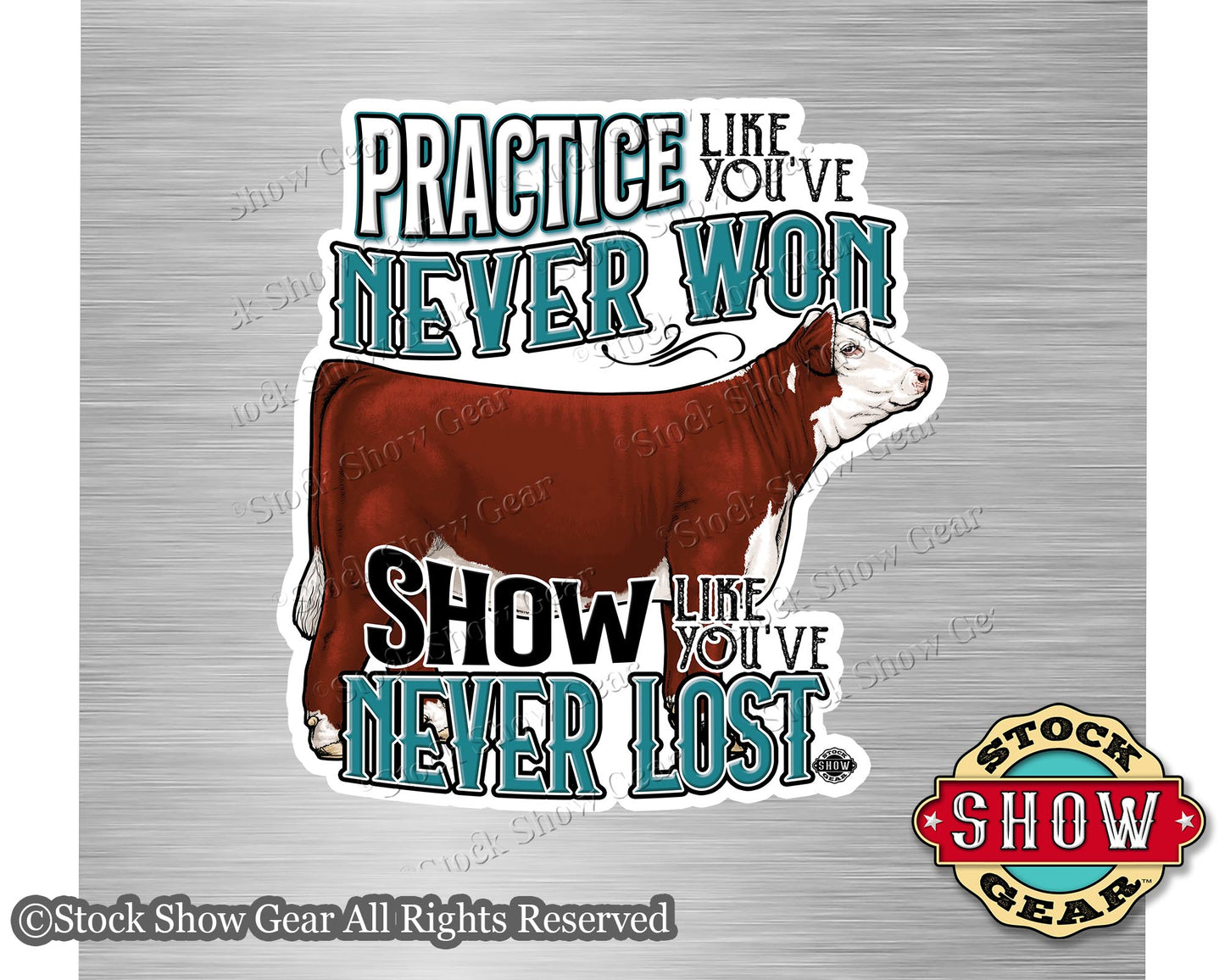 Show Cattle "Practice" Magnets