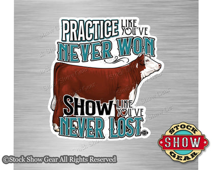 Show Cattle "Practice" Magnets