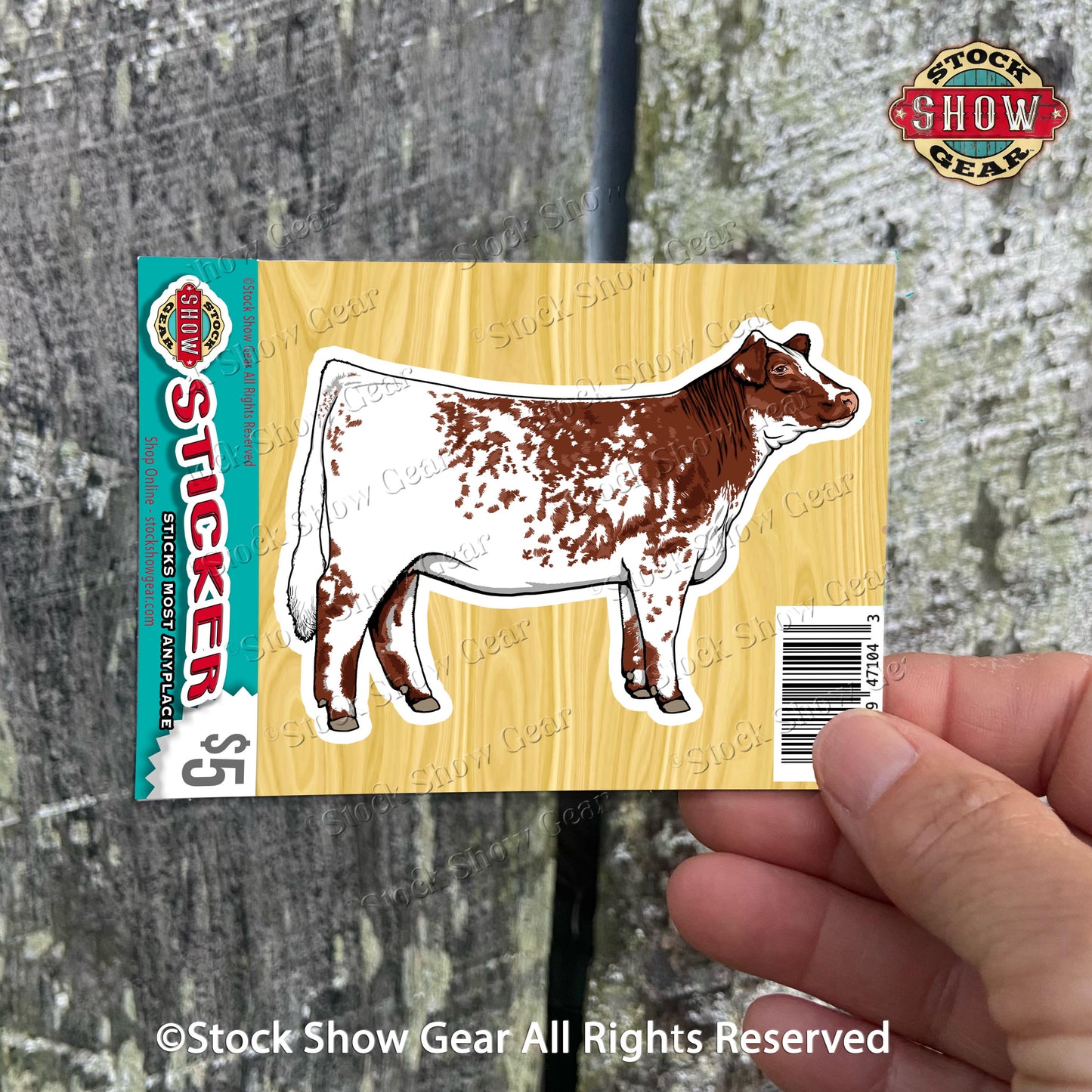 Shorthorn Cattle Stickers - Variety of Designs
