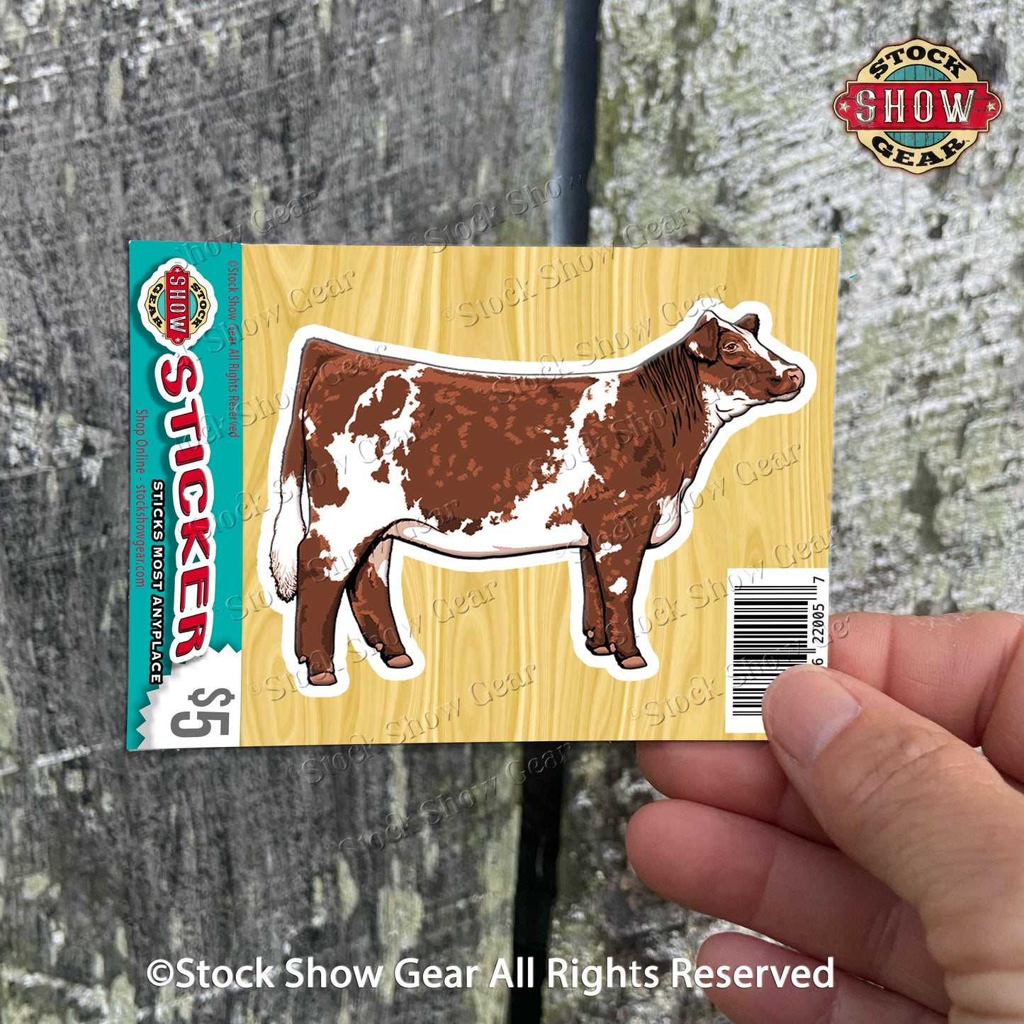 Shorthorn Cattle Stickers - Variety of Designs