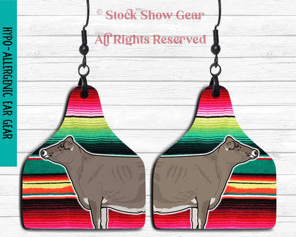 Brown Swiss Earrings-Mexican Serape Print - Last Call
